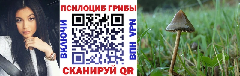 Галлюциногенные грибы GOLDEN TEACHER наркотики Ладушкин